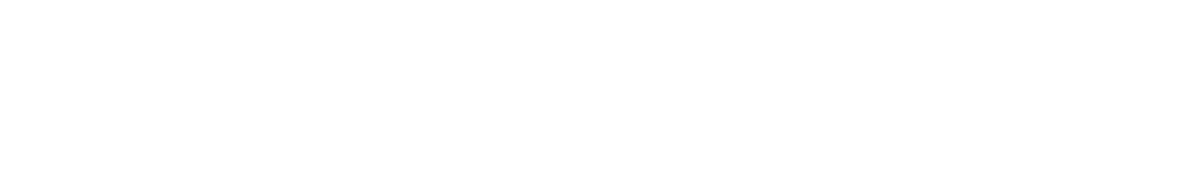 noris network Logo